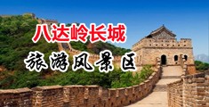 大泬插视频网站中国北京-八达岭长城旅游风景区