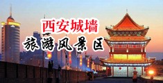 后入内射护士肏逼小视频中国陕西-西安城墙旅游风景区