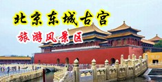 骚逼大射视频中国北京-东城古宫旅游风景区